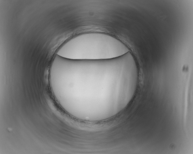 X0000114130014200910081013