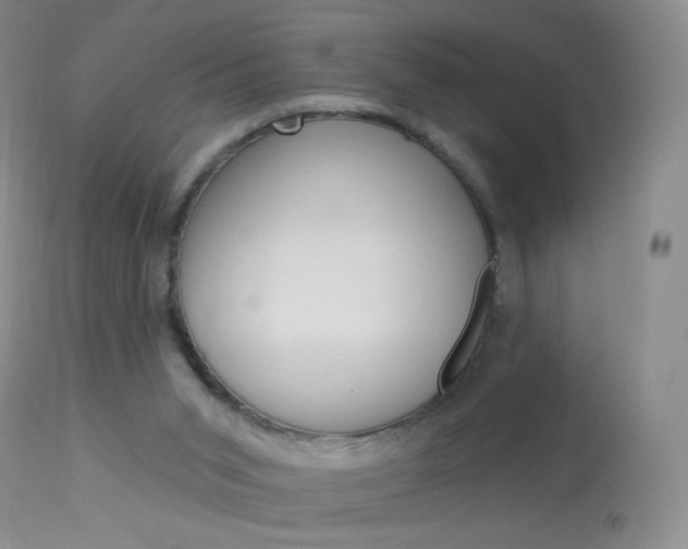 X0000114130015200910081013