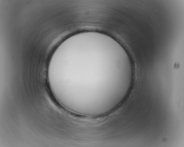 X0000114130016200910081013