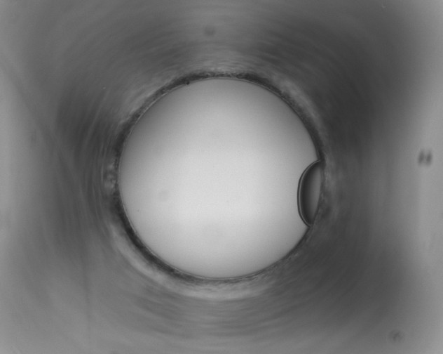 X0000114130017200910081013