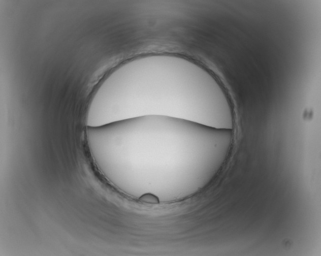 X0000114130019200910081013