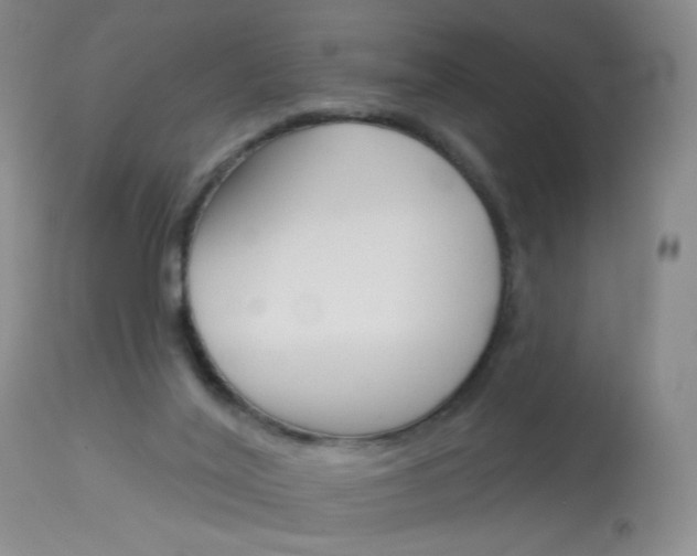 X0000114130020200910081013
