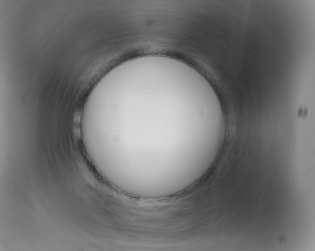 X0000114130022200910081013