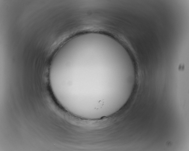 X0000114130023200910081013