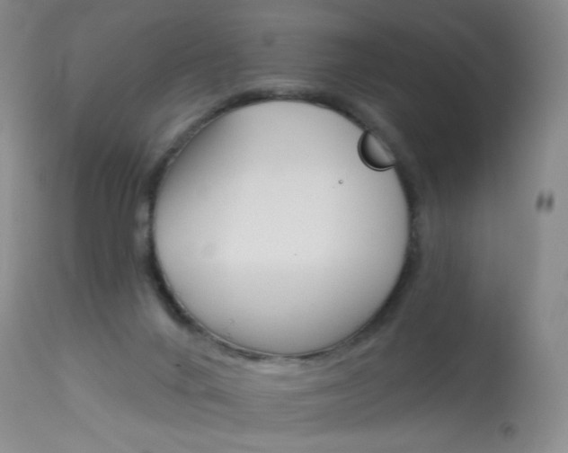 X0000114130024200910081013