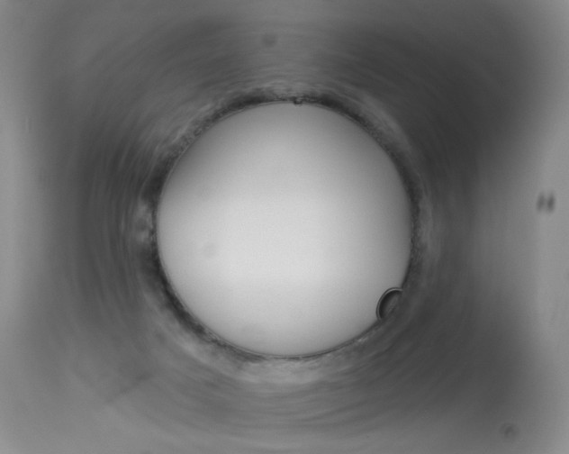 X0000114130025200910081013
