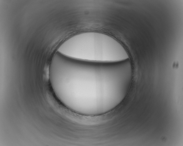 X0000114130027200910081013