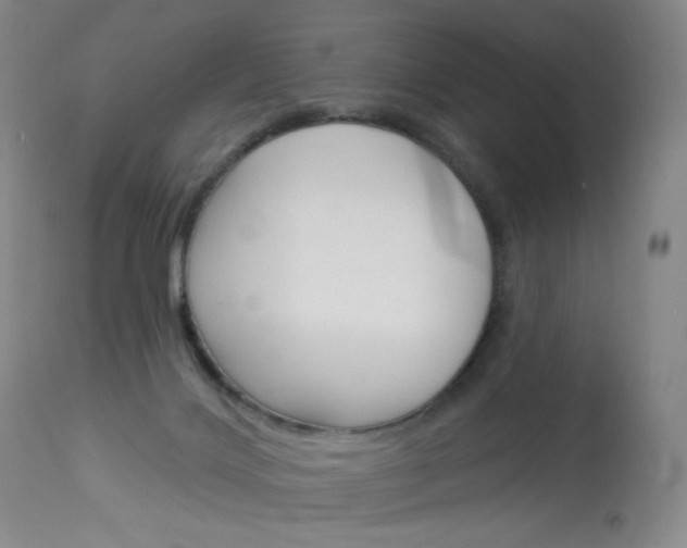 X0000114130028200910081013