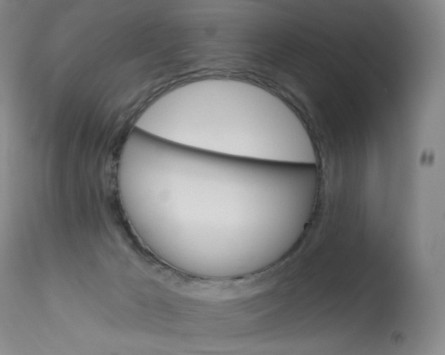 X0000114130029200910081013
