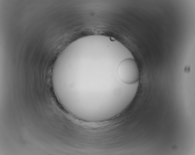 X0000114130030200910081013