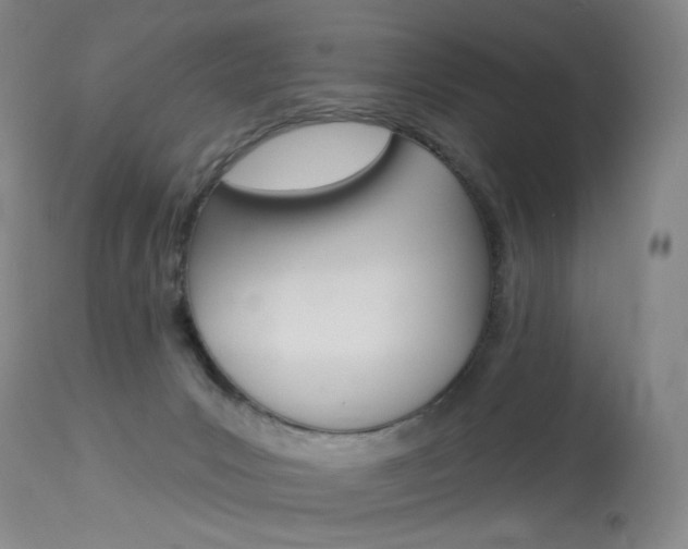 X0000114130031200910081013