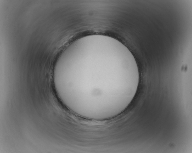 X0000114130032200910081013