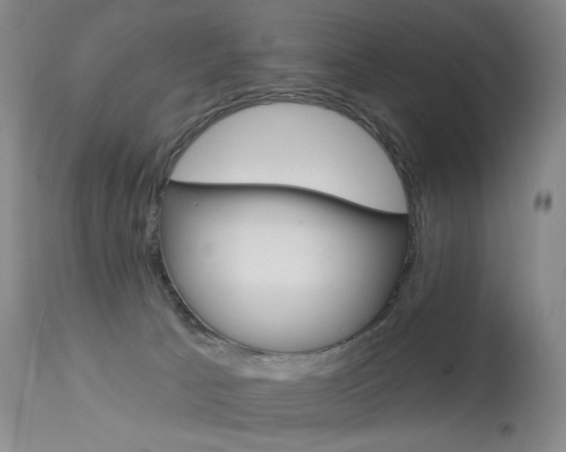 X0000114130033200910081013
