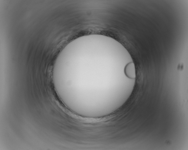 X0000114130034200910081013