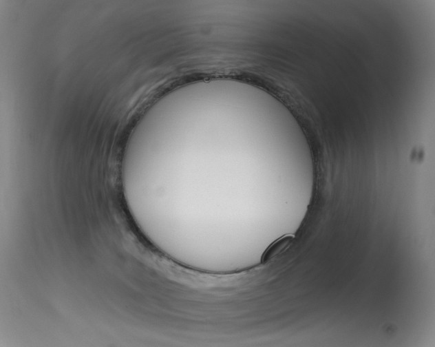 X0000114130035200910081013