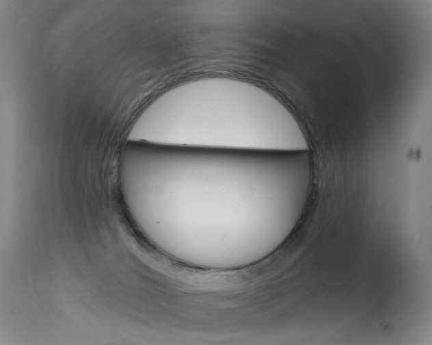 X0000114130036200910081013