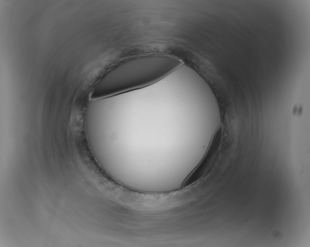 X0000114130037200910081013