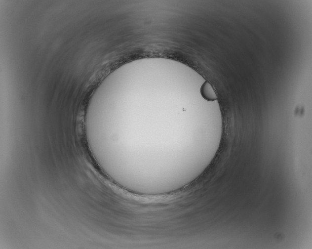 X0000114130038200910081013
