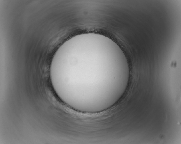 X0000114130039200910081013