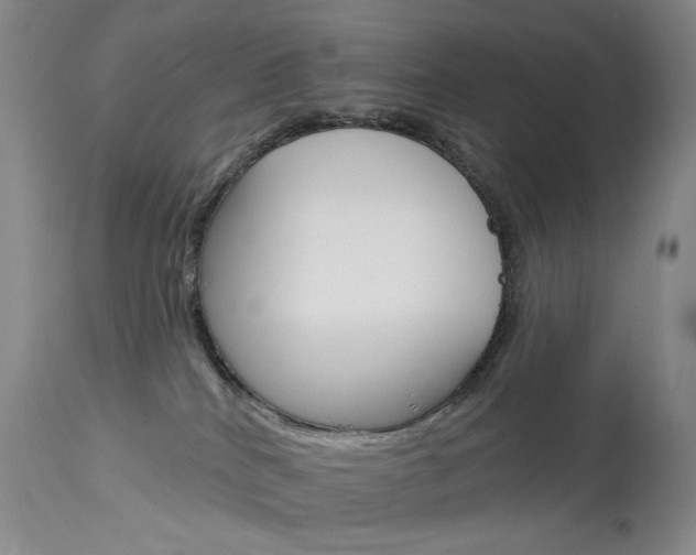 X0000114130040200910081013