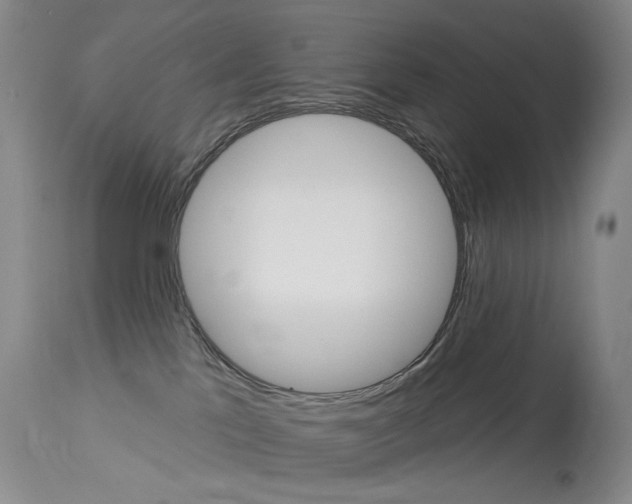 X0000114130041200910081013