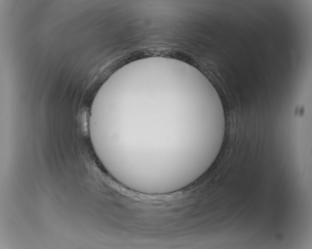 X0000114130042200910081013