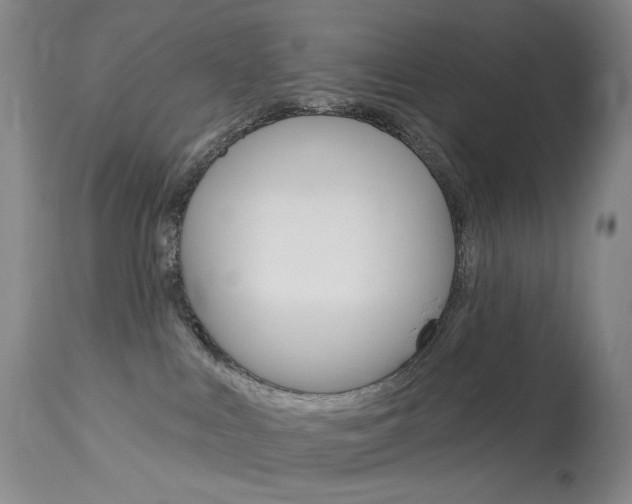 X0000114130043200910081013