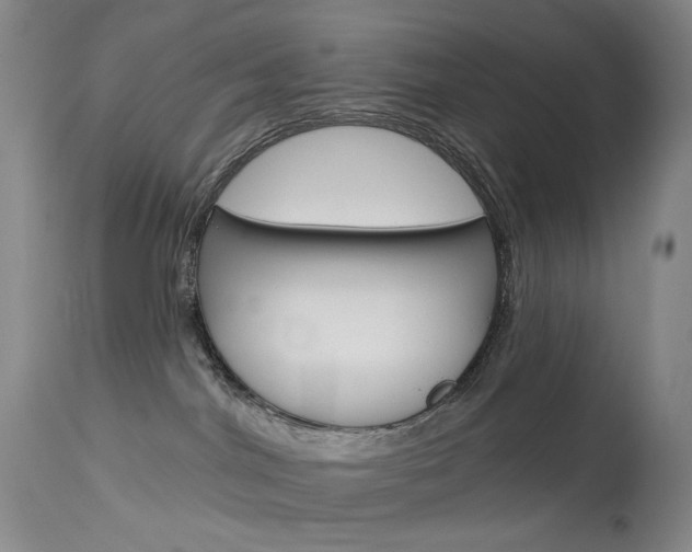 X0000114130044200910081013