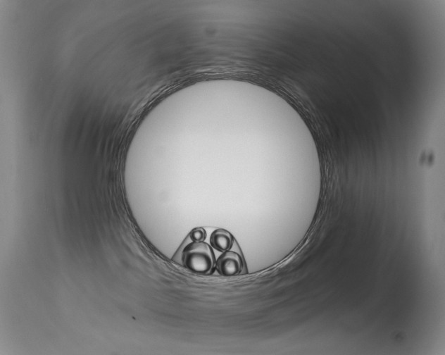X0000114130045200910081013