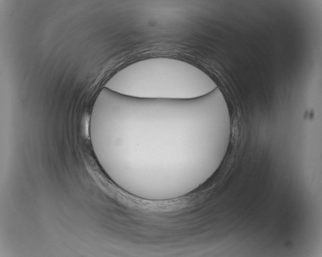 X0000114130046200910081013