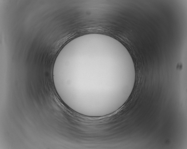 X0000114130047200910081013
