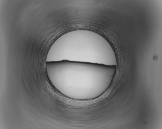 X0000114130048200910081013
