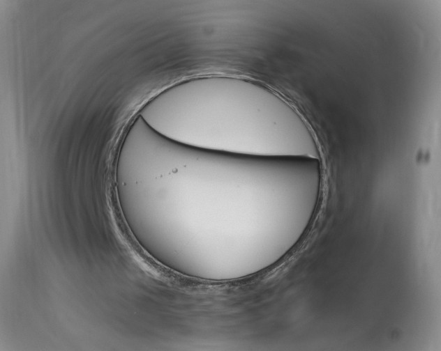X0000114130049200910081012