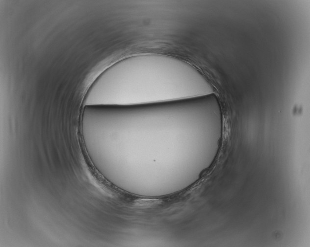 X0000114130051200910081012