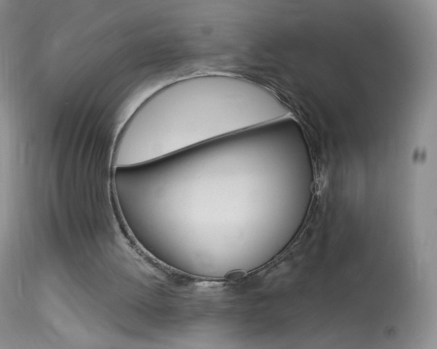 X0000114130052200910081012