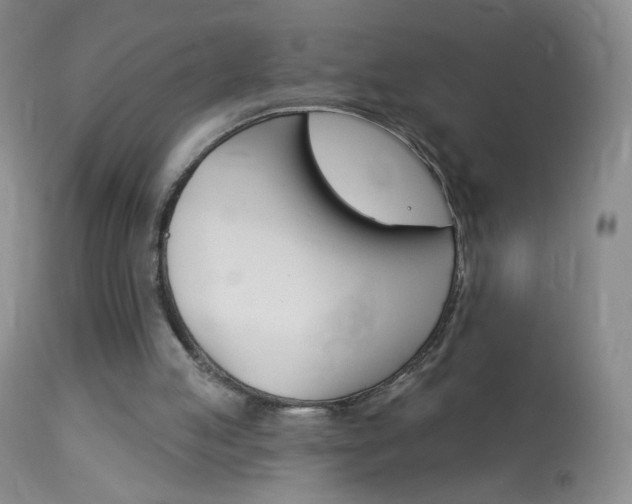 X0000114130053200910081012
