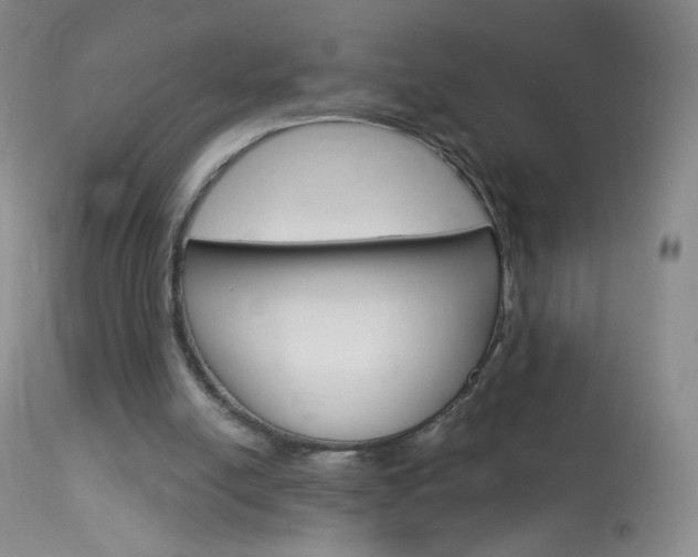 X0000114130054200910081012