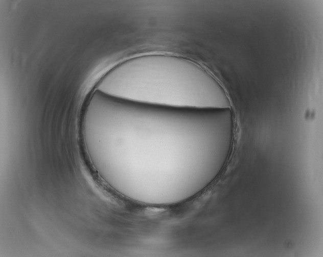 X0000114130055200910081012