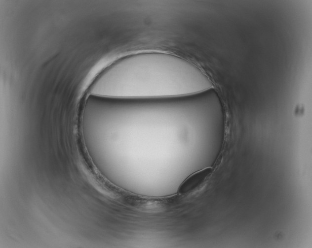X0000114130056200910081012