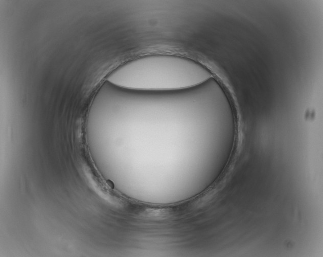 X0000114130057200910081012