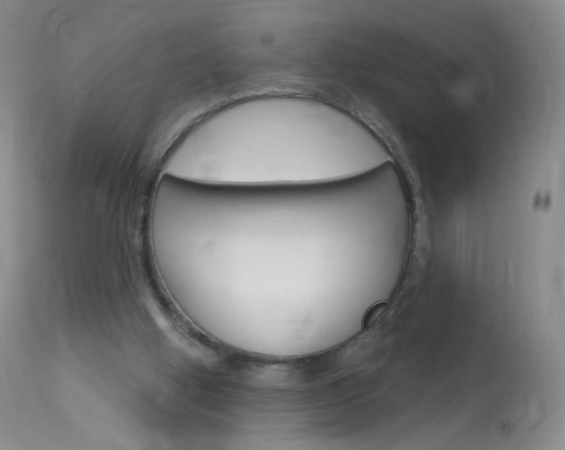 X0000114130058200910081012