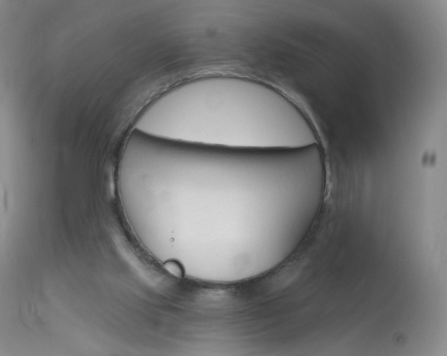 X0000114130061200910081012