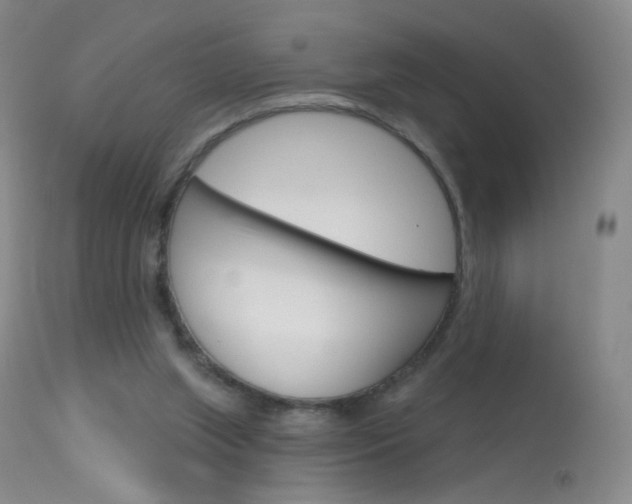 X0000114130063200910081012