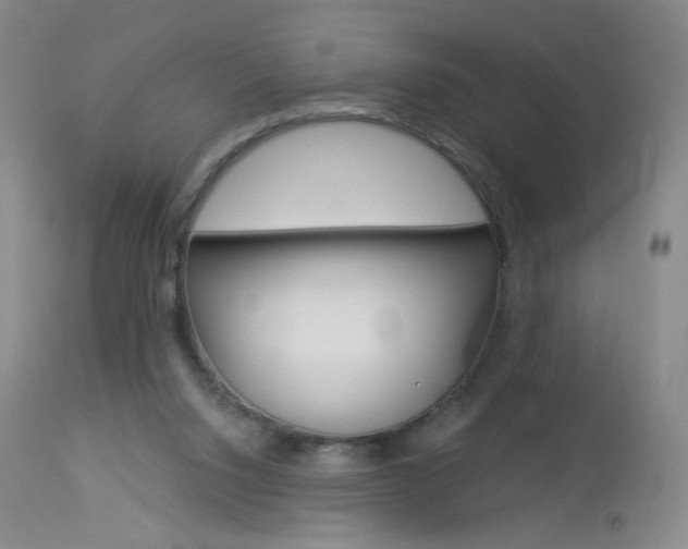 X0000114130064200910081012