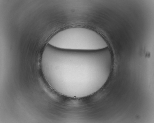 X0000114130065200910081012