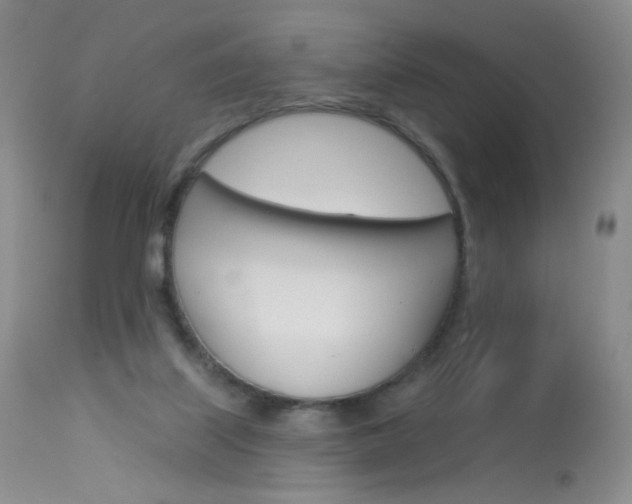 X0000114130067200910081012