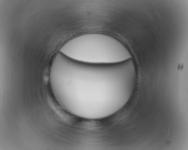 X0000114130069200910081012