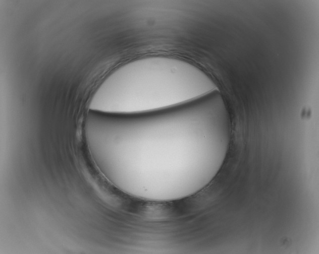 X0000114130070200910081012
