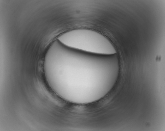 X0000114130071200910081012