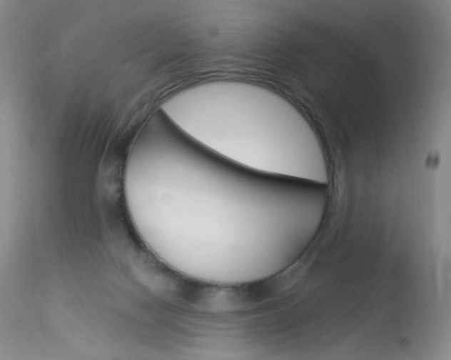 X0000114130074200910081012